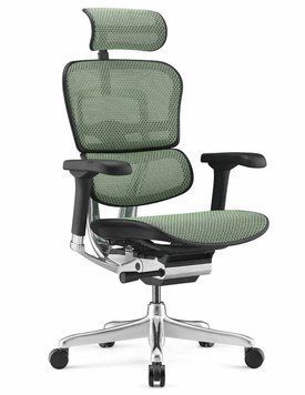 Кресло ERGOHUMAN ELITE 2 black/green 674220911 фото
