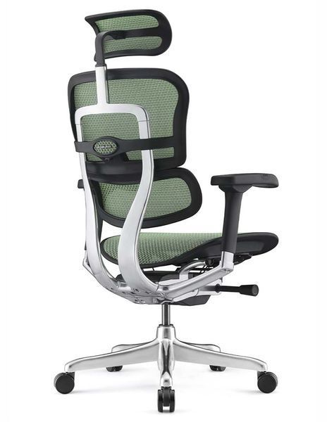 Кресло ERGOHUMAN ELITE 2 black/green 674220911 фото