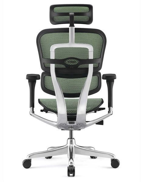Кресло ERGOHUMAN ELITE 2 black/green 674220911 фото