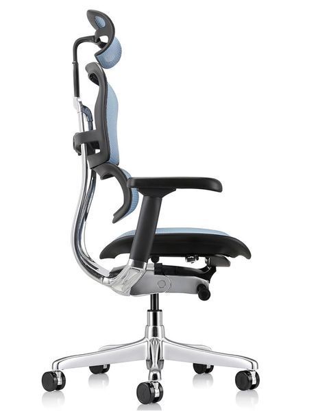 Кресло ERGOHUMAN ELITE 2 black/cobalt 674220914 фото