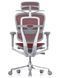 Кресло ERGOHUMAN ELITE 2 grey/red 671398311 фото 3