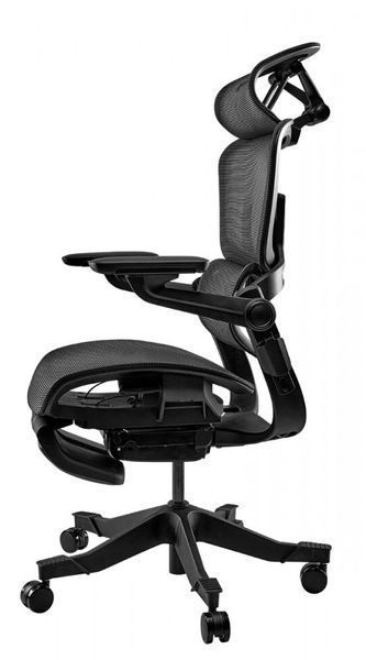 Fotoliu HINOMI H1 PRO V2 BLACK 67770526111 фото